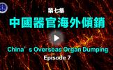 第7集1999年後中國器官移植機構迅速擴建和器官海外傾銷 第7集1999年後中國器官移植機構迅速擴建和器官海外傾銷